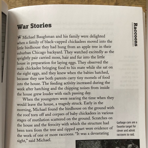 “Squirrel Wars: backyard wildlife battles and how to win them” illustrated book - Picture 3 of 12